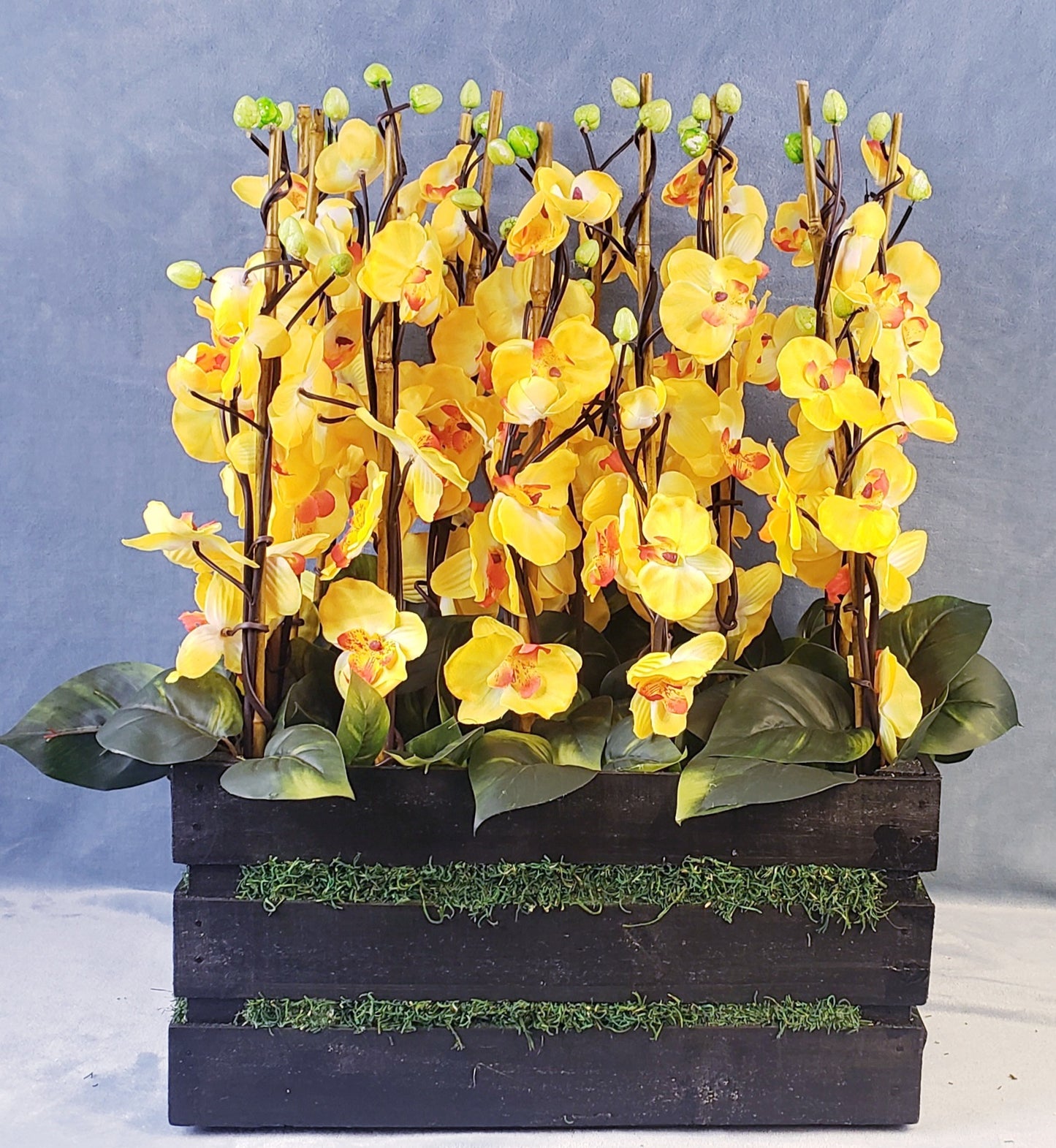 Yellow orchids arrangment on a wooden base (H:26"; W:12.5"; L:19")