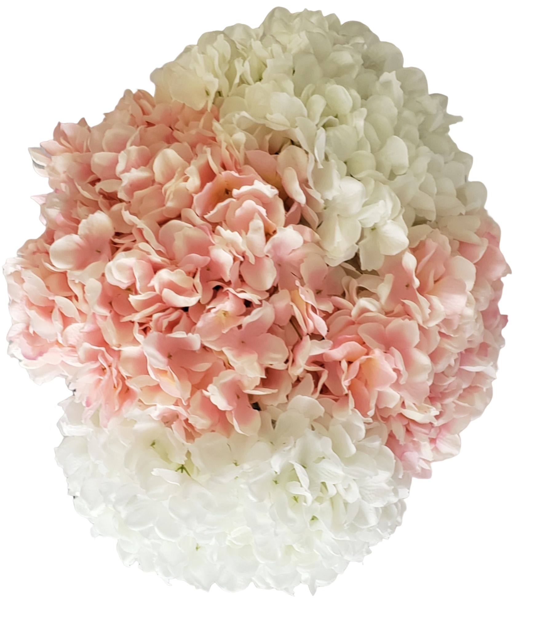 Soft and Exotic Floral arrangement with Pink and White Hydrangea in a White ceramic base. H: 17 In; Diam: 27 In