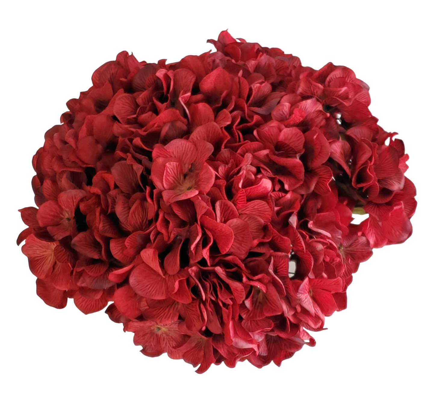 Exotic and Gorgeous arrangement with Red Hydrangea flowers in a cylindrical Glass base. H: 13 In; Diam: 20 In; Base: H: 20 In