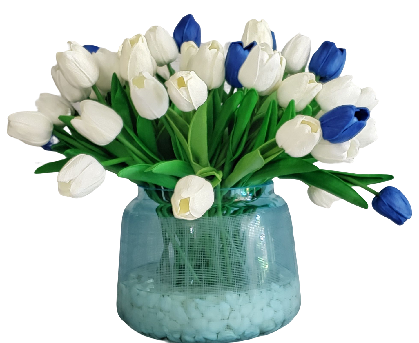 Tulips white and blue